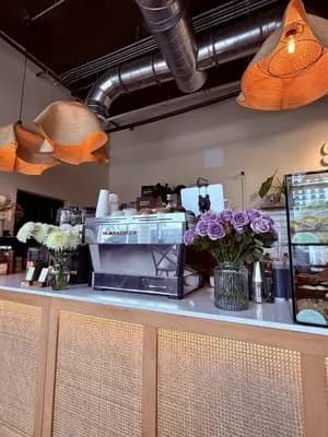 Magdalena Coffee Bar & Houseplants